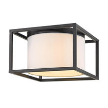 Outdoor Flush Mounts